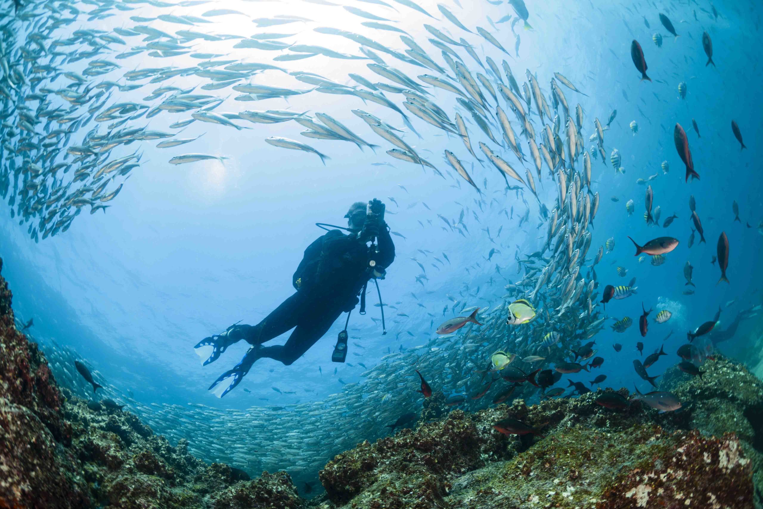 Diving Galapagos