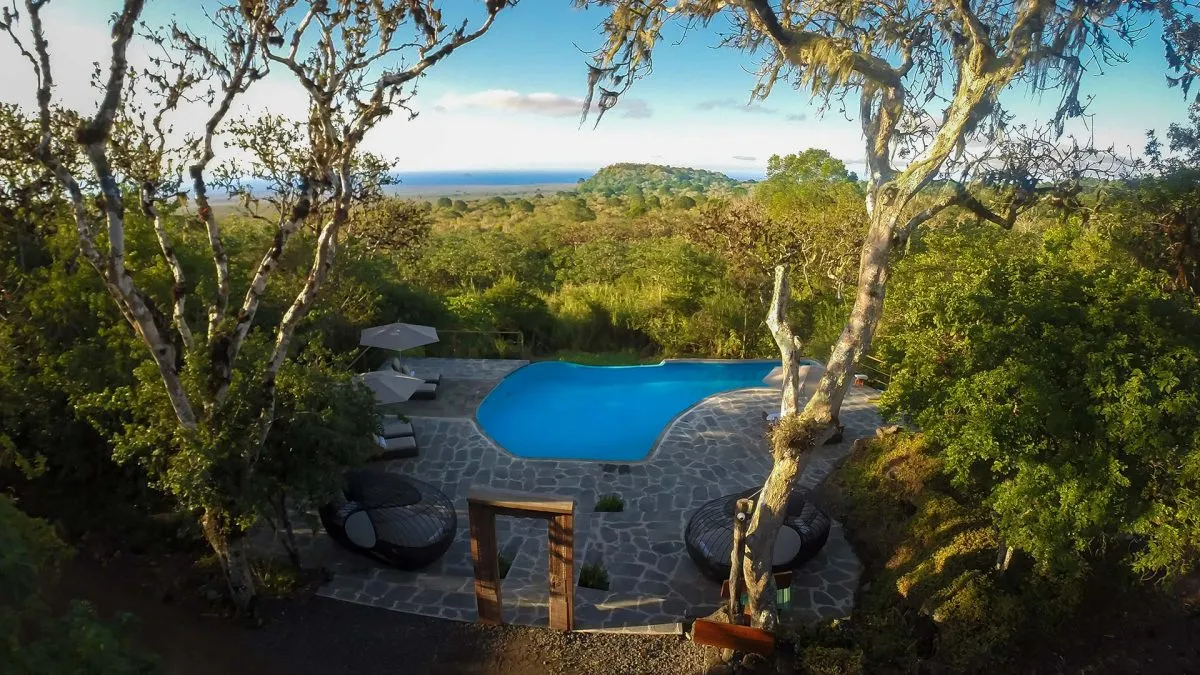 Galapagos Safari Camp pool